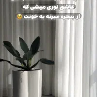 اجرای تخصصی پرده مینیمال و پانچ