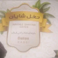 خرمای ربی صادراتی