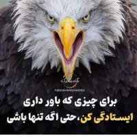 امروز از قم تا زنجان حرکت میکنم