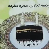 فیش عمره فروشی فوری