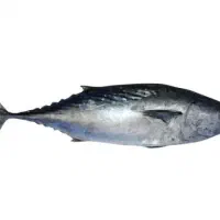 کارگر پرورش ماهی