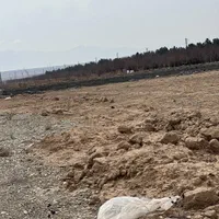 ۱۳۰۰متر‌زمین(سند۶دانگ)سهیلیه.زعفرانیه.کردان|فروش زمین و ملک کلنگی|کرج, گوهردشت|دیوار