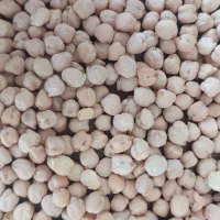 نخود عمده|عمده‌فروشی|کرمانشاه, |دیوار