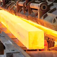 تعدادی کارگر ساده و یک نفر آبدارچی