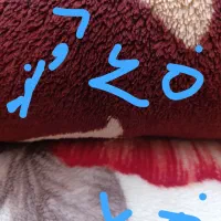 پتو گلبافت|رختخواب، بالش، پتو|مشهد, انقلاب|دیوار