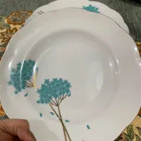 ست چینی|ظروف سرو و پذیرایی|رشت, پاره بیجار|دیوار