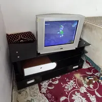 تلویزیون
