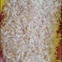 برنج.سالم و نیم دانه|خوردنی و آشامیدنی|بروجرد, |دیوار