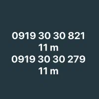 0919 30 30 821