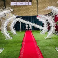 آیلین دیزاین