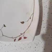 دو دست پیش دستی چینی نو نو|ظروف سرو و پذیرایی|فردیس, شهرک شهید حسینی|دیوار