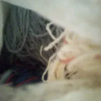 رنگ فرش دستبافت