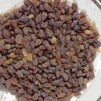 کشمش اورگانیک|خوردنی و آشامیدنی|یاسوج, |دیوار