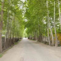 سرایدار شهرک