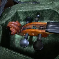 ویولن دست ساز|ویولن|رشت, کوی فکوری|دیوار