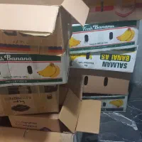 فروش جعبه مقوایی ( کارتون موز )