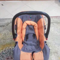 کریر نوزاد فرانسوی سالم