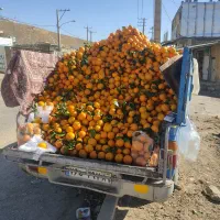 پرتقال|خوردنی و آشامیدنی|شنبه و طسوج, |دیوار