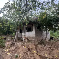 زمین مسکونی روبروی تالاب سوختکوه