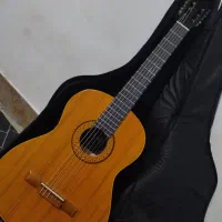 گیتار|گیتار، بیس، امپلیفایر|بوکان, |دیوار