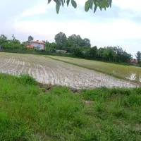 زمین-کشاورزی