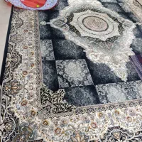 قالی ۱۲ متری