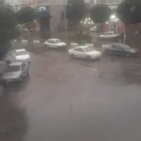 سیم کارت رند