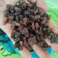 کشمش ومویز|خوردنی و آشامیدنی|ارومیه, |دیوار