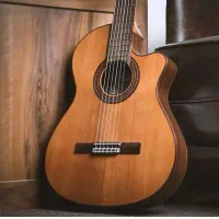 مربی گیتارکلاسیک آقا