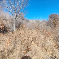 وشنوه (700متر زمین فندق در هده رود)قابل معاوضه|فروش زمین و ملک کلنگی|قم, سالاریه|دیوار