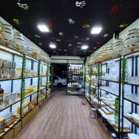 خانه آنتیک لیام