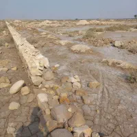 5000 زمین|فروش دفتر صنعتی، کشاورزی، تجاری|بوشهر, |دیوار