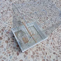 قفس پرنده