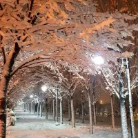 کمک و راهنمایی داوطلبانه