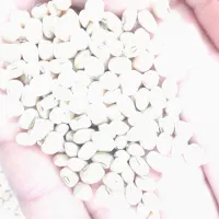 لوبیا آشی درجه یک|خوردنی و آشامیدنی|دره شهر, |دیوار