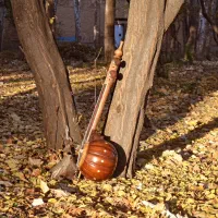 کمانچه پشت بسته الگو دو خم|سازهای سنتی|تهران, فردوسی|دیوار