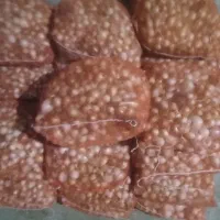 ۲۰گونی پیاز زردو۲۵ گونی پیاز قرمز برای ترشی|عمده‌فروشی|میاندوآب, |دیوار