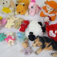 این همه عروسک