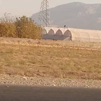 زمین گلخانه