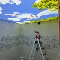 نیازمند نیروی فنی جوان جهت نصب سقف های کاذب