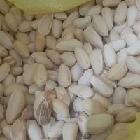 پسته در بسته رو آبی