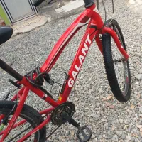 دوچرخه 24|دوچرخه، اسکیت، اسکوتر|جیرفت, |دیوار