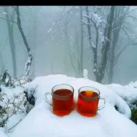 دوتا تشک دو نفره