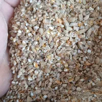 جوزرت‌درجه‌یک