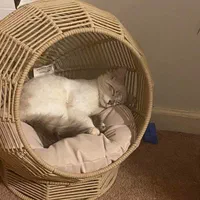 جای خواب پت