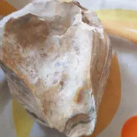 فسیل