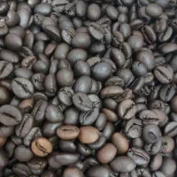 فروش تک دان رست شده|عمدهفروشی|اصفهان, شهرک ولیعصر|دیوار