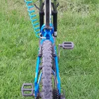 دوچرخه کوهنوردی|دوچرخه، اسکیت، اسکوتر|ماسال, |دیوار