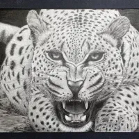 نقاشی غرش پلنگ