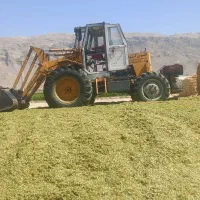 تراکتور بیلی